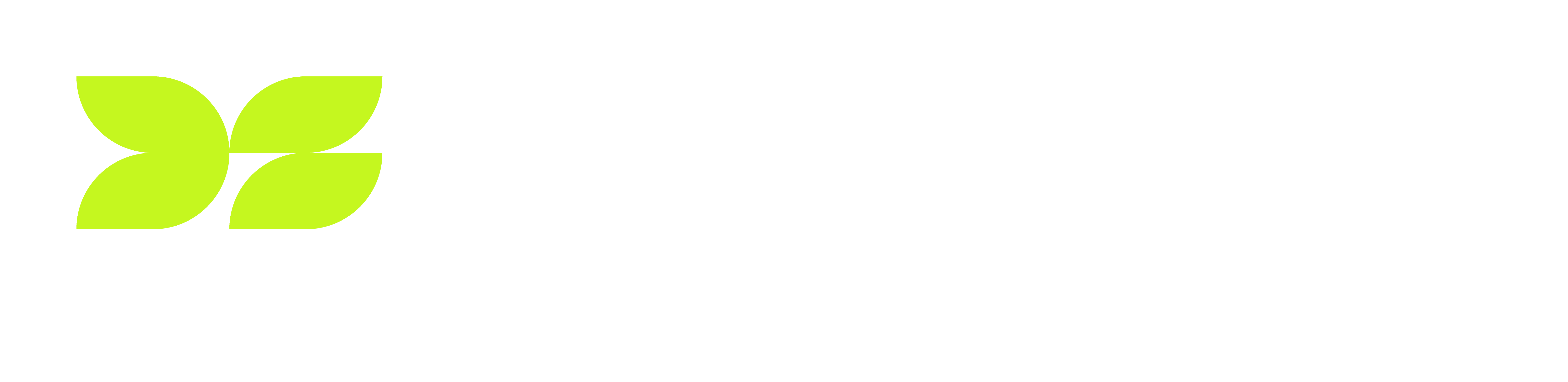 DataSpring Logo